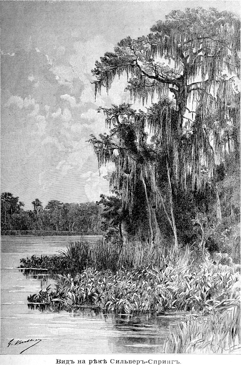 205 Вид на реку Сильвер-Спринг